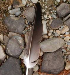feather