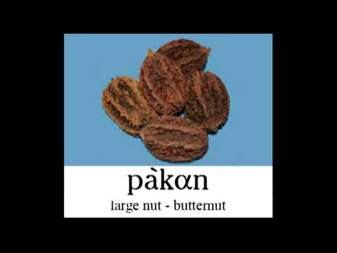 nuts and berries