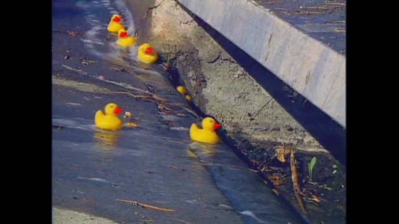 Think Blue Maine - Ducky Ad